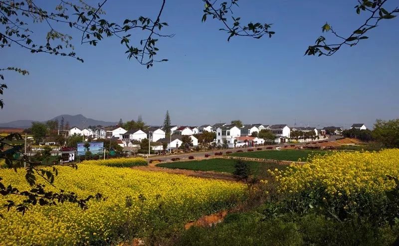 金坛是双面城市吗,金坛是一个美丽的城市