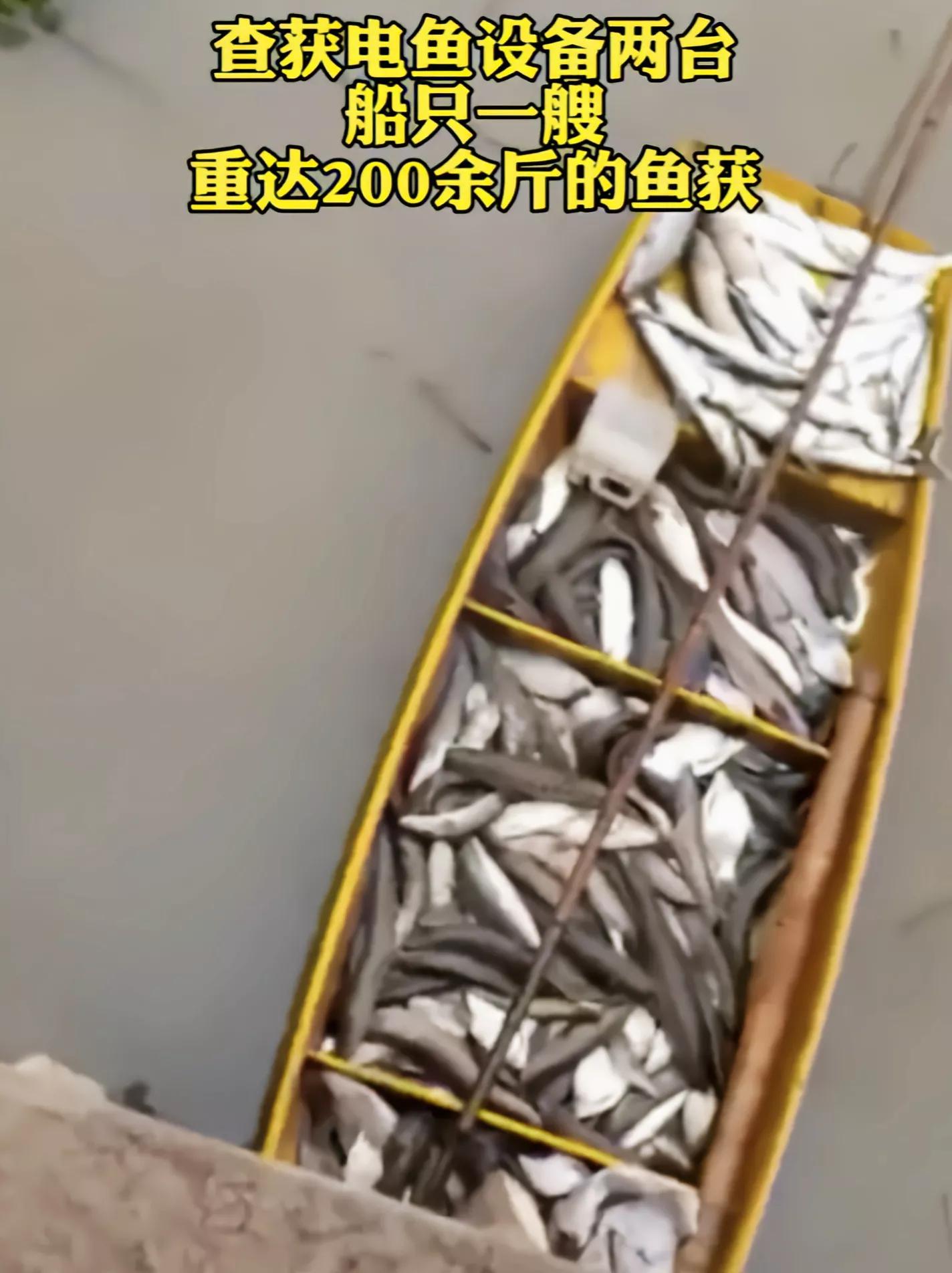 三男子非法电鱼南京,3名男子非法捕鱼600余斤