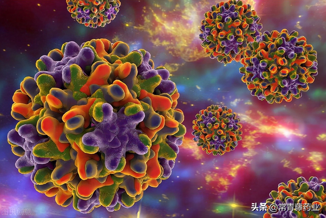 每天一片恩替卡韦治乙肝，有机会转阴吗？与拉米夫定相比谁更有效