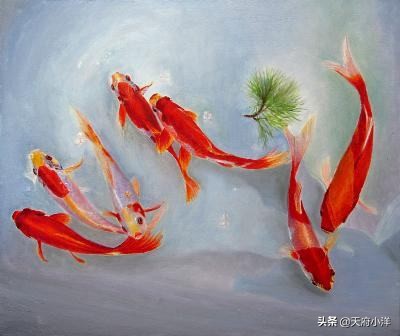 锦鲤怎么养在农村,锦鲤怎么养出尾巴