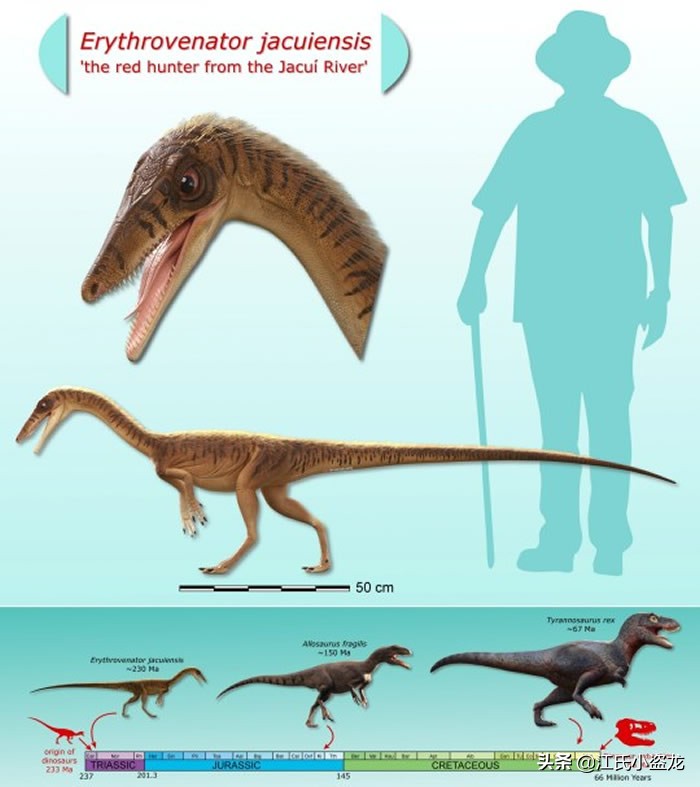 古生物学家发现恐龙新物种,古生物专家介绍侏罗纪