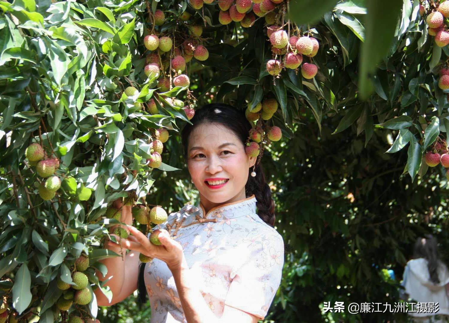 湛江市廉江荔枝节开幕式视频,廉江荔枝文化节