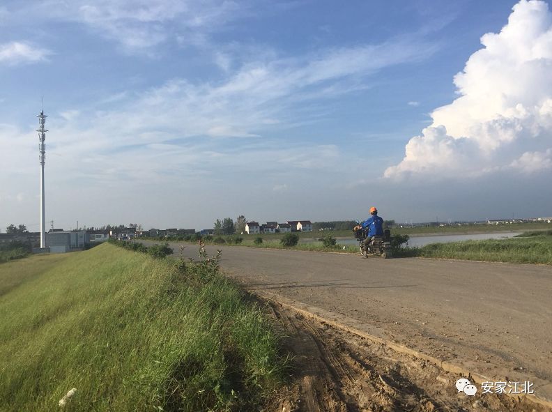 金陵中学江北分校东校区9月启用,金陵中学江北分校与浦厂中学