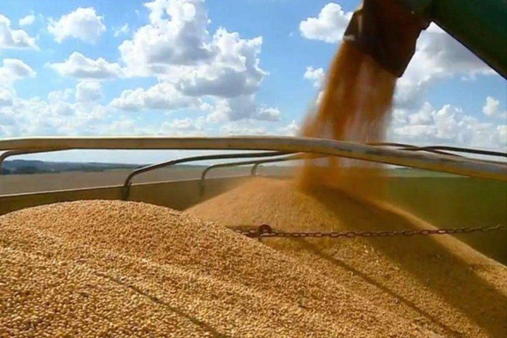 美豆海运费,美豆到中国一吨运费