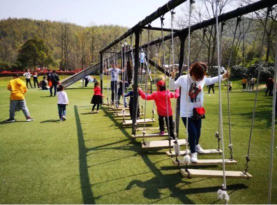 不负假期不负青春,不负韶光享受春日