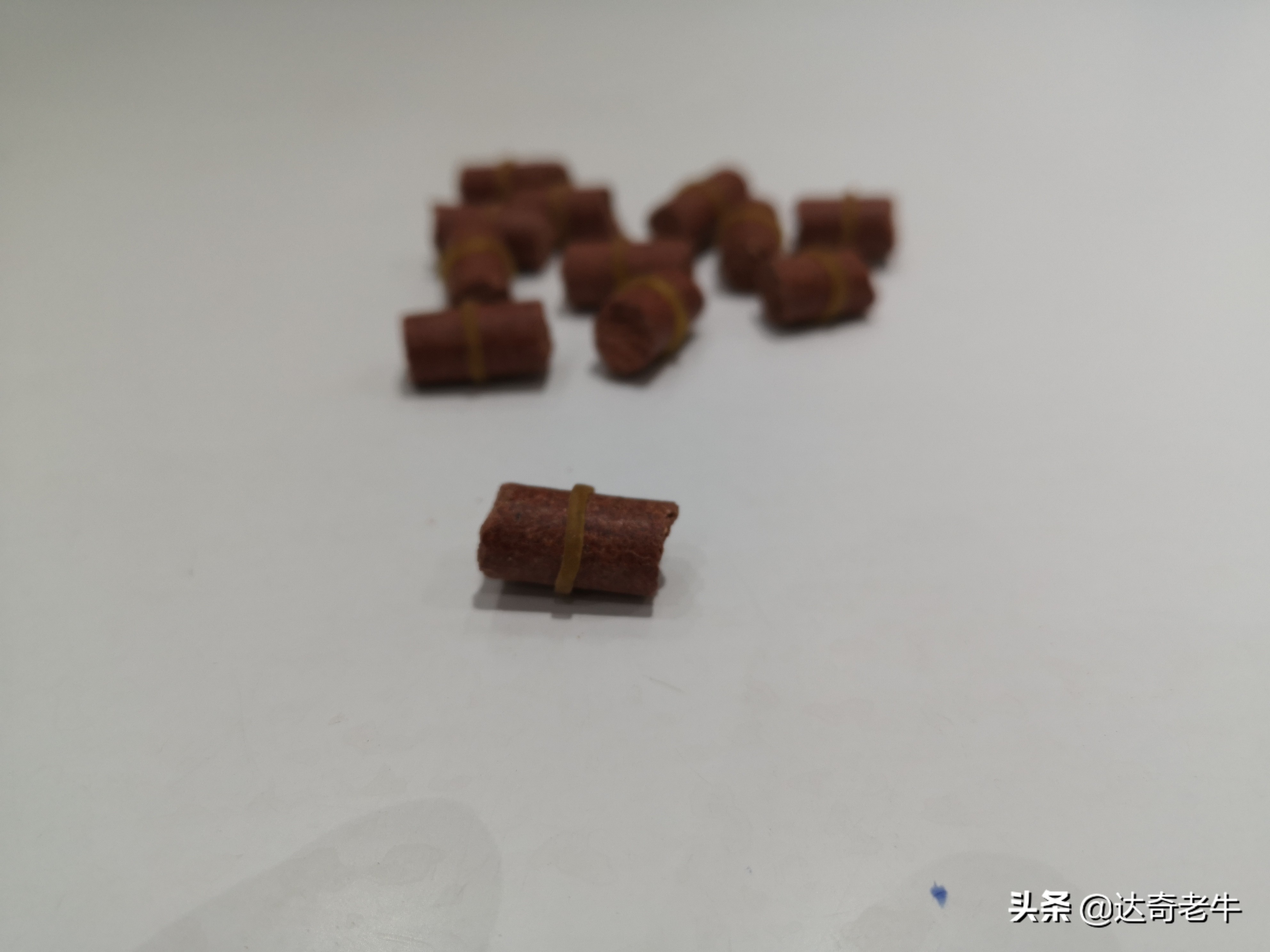 既能黑坑也能野钓的饵料,万能饵料是真是假