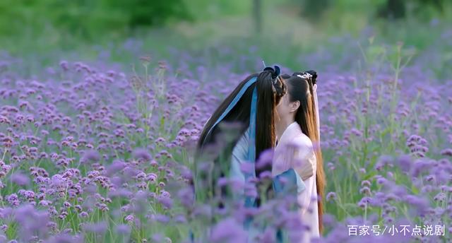 琉璃中皓凤真的不爱离泽宫宫主吗,琉璃原著大宫主和皓凤