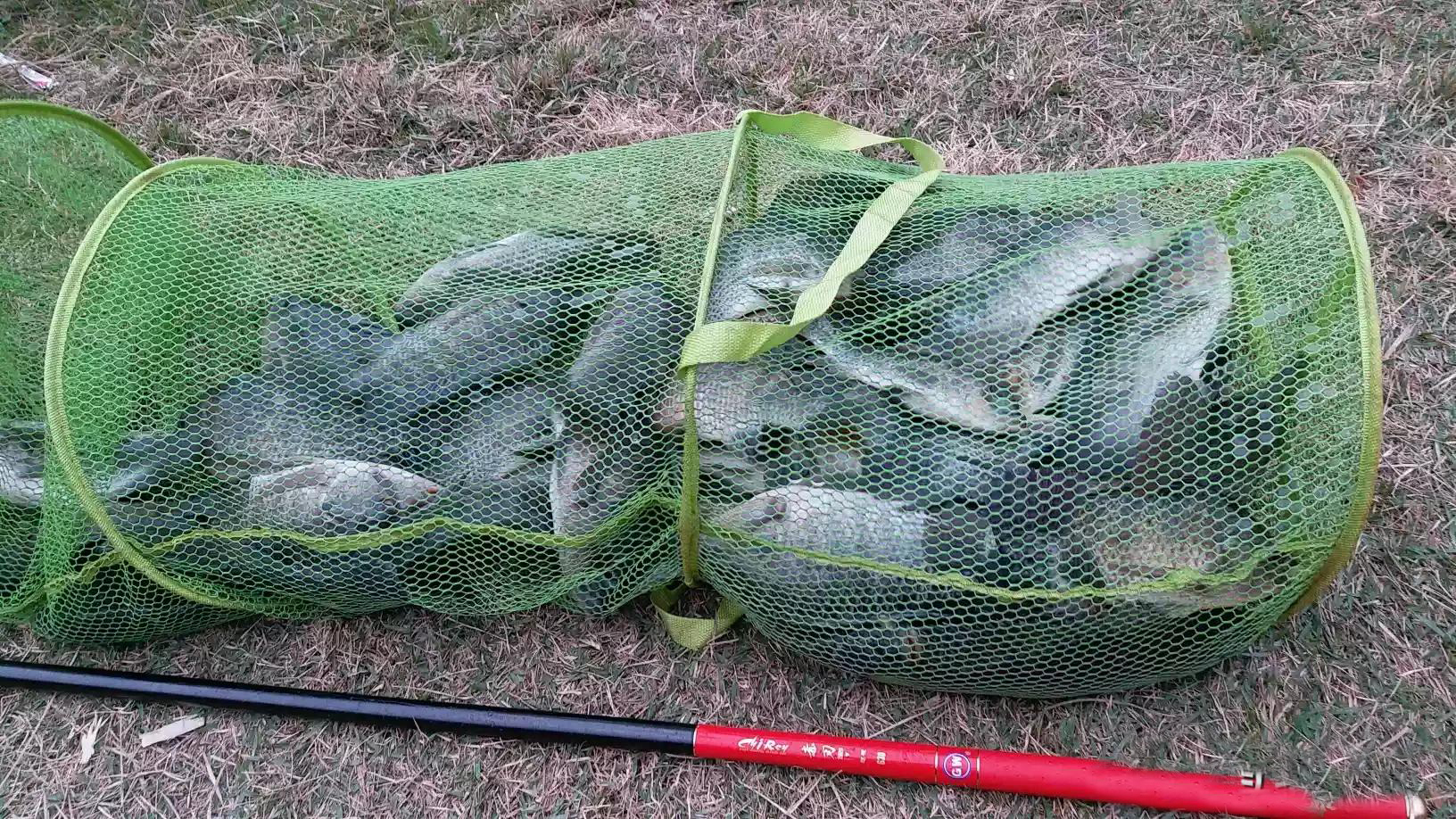 国产鱼竿和日本鱼竿的差距,日本鱼竿和国产鱼竿哪个好