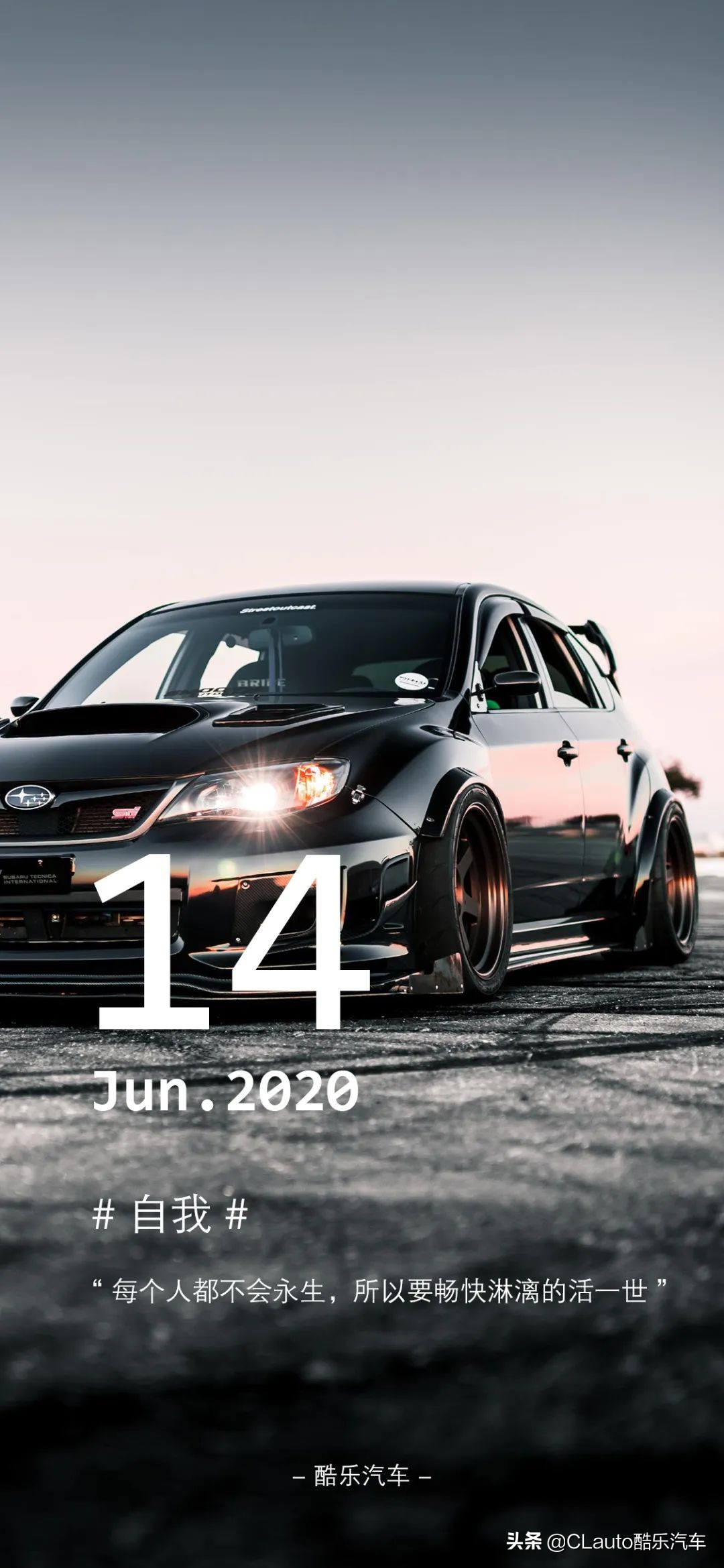 ​近乎残疾，不忍直视|流浪豹STI收养记Vol.01