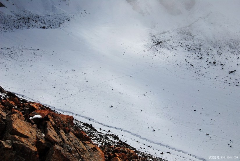 狼c调简谱教唱,狼c