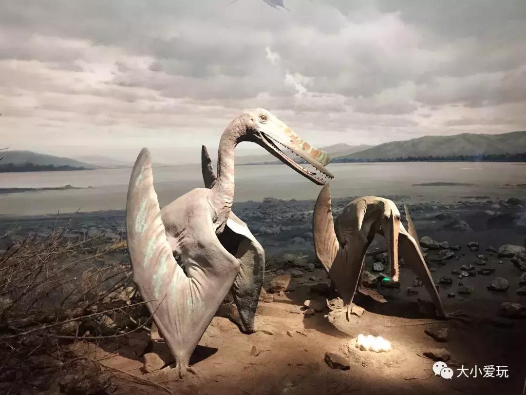 开放首日实探国家海洋博物馆，史上最抢手博物馆究竟长什么样