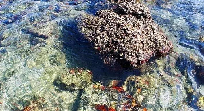 广东可以看日落的海岛,绝美海岛海滩