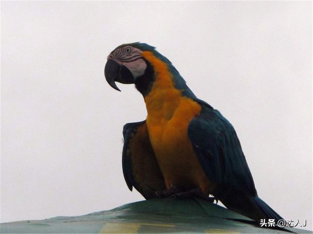 小天独家的全部视频,小天全国自驾