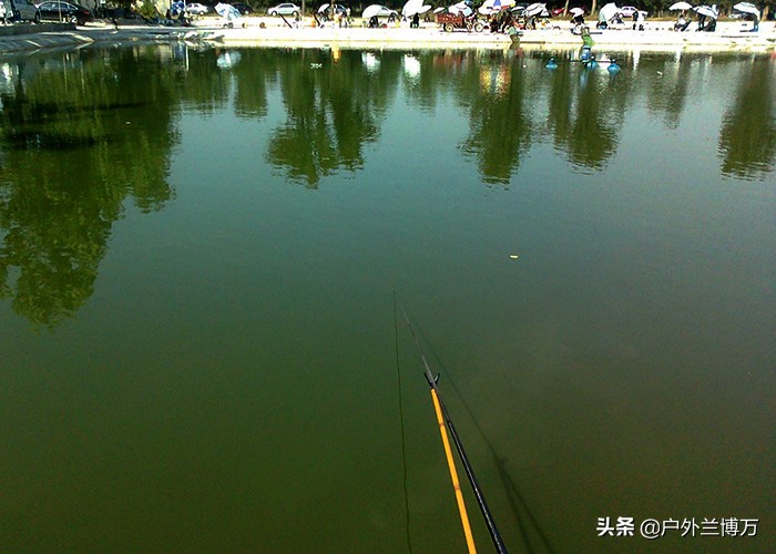 经常钓黑坑的人会怎么样,黑坑怎么做到钓不上鱼呢