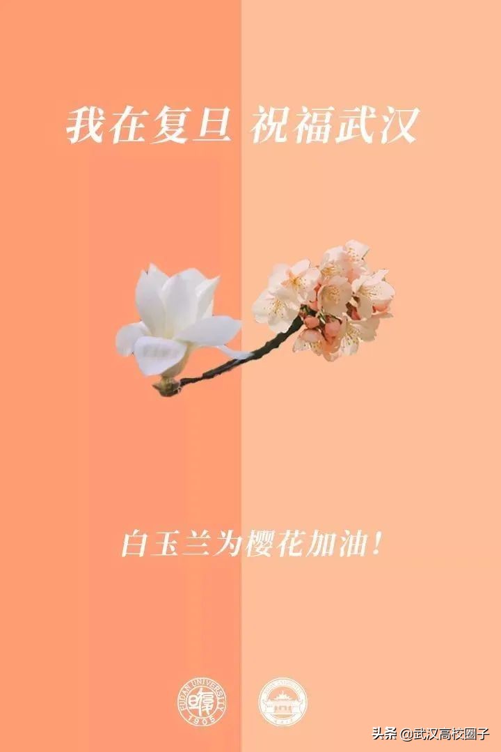 爸妈我想回家视频,爸妈我想回家了原视频