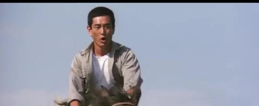 远山的呼唤百科内容,远山的呼唤国语版