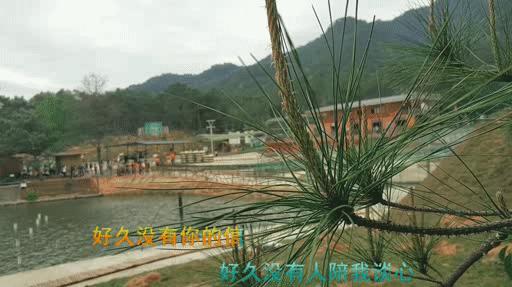 用剪映制作卡拉ok歌词字幕,卡拉ok的歌词怎么制作