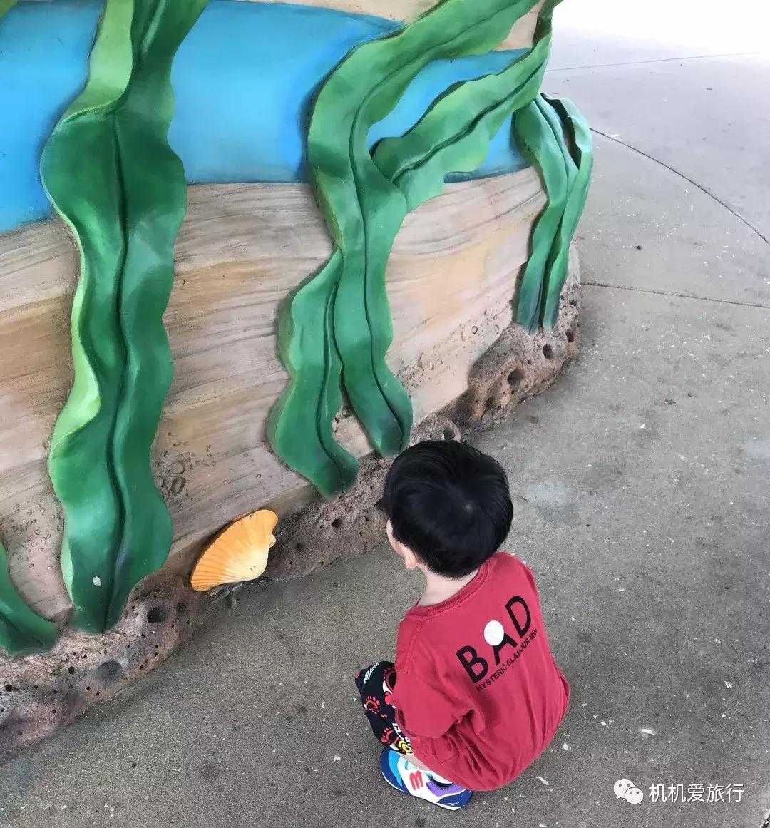 珠海和广州长隆旅游攻略,珠海长隆乐园游玩攻略