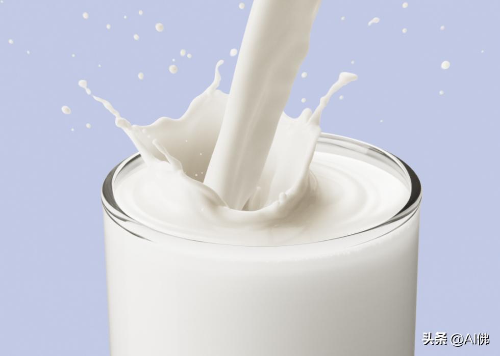 狗哪些食物不适合吃,不适合狗狗的食物