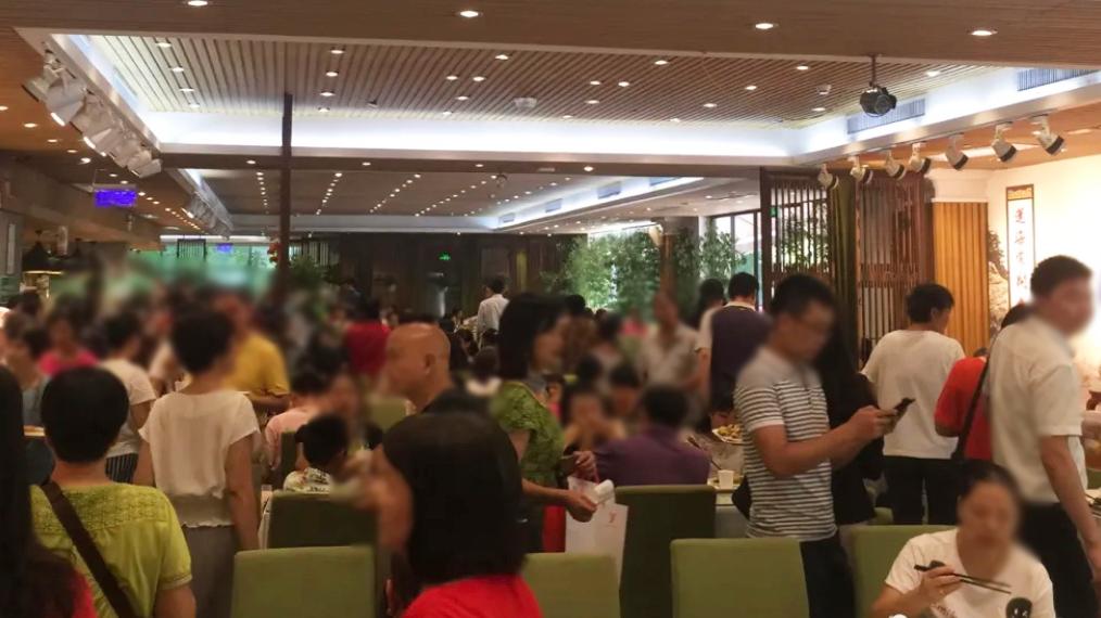 再见了，我的新梅园