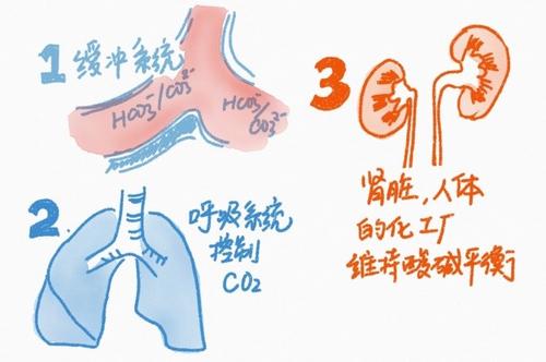 护肤小知识:如何平衡人体的酸碱平衡?