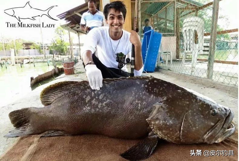 奔乐海钓纺车轮8000和4000区别,奔乐纺车轮实战视频