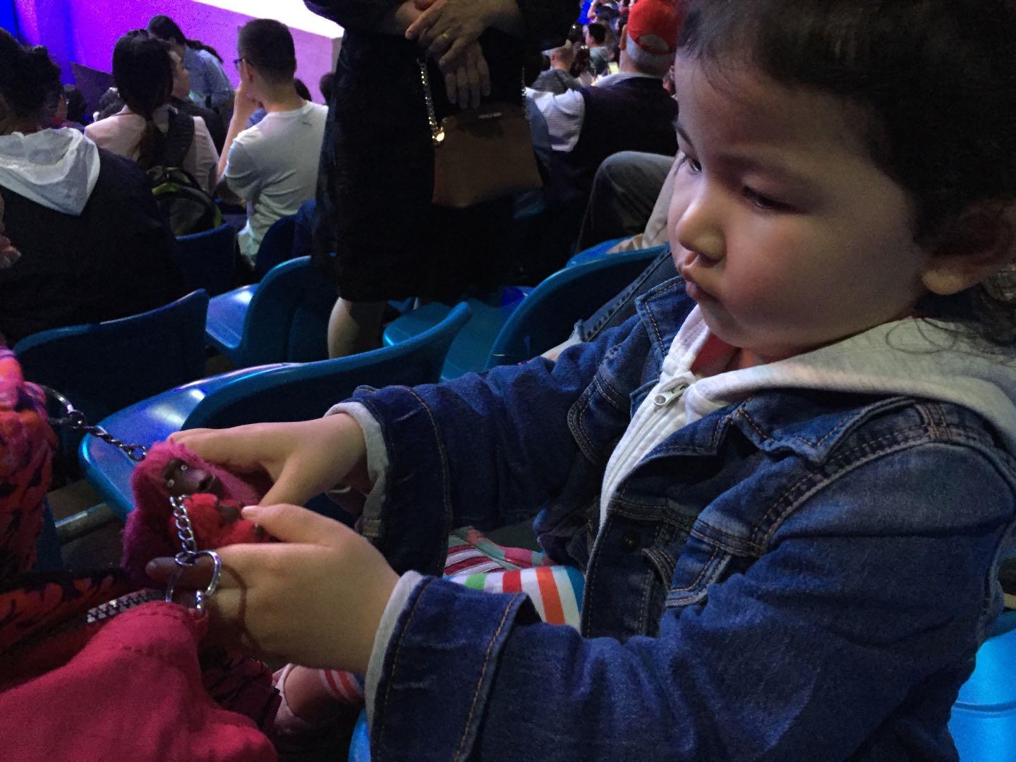 珠海长隆海洋王国附近美食,珠海长隆海洋王国官网预约