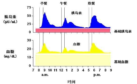 打长效胰岛素什么情况下增减剂量,糖尿病打胰岛素是什么时间打