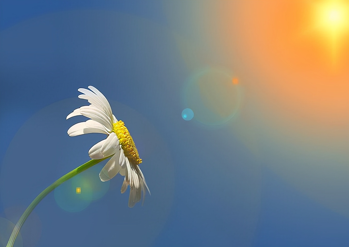 备孕要一年的准备吗,你也要做好备孕的准备