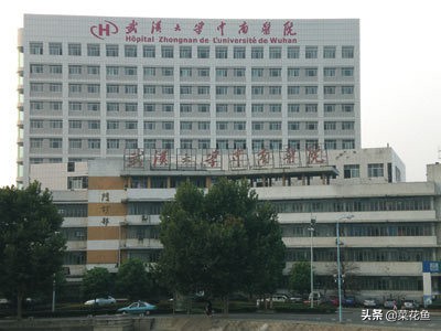 武汉大学医学部考研简介,武汉大学医学考研经验帖