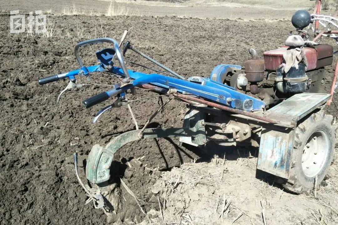 天才少年13岁考上985大学,初中辍学怎么逆天改命