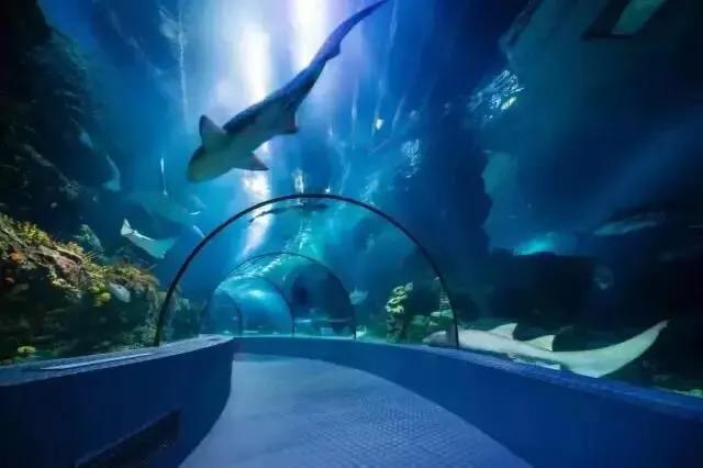 上海地铁沿线景点一日游,上海地铁11号线上海赛车场站