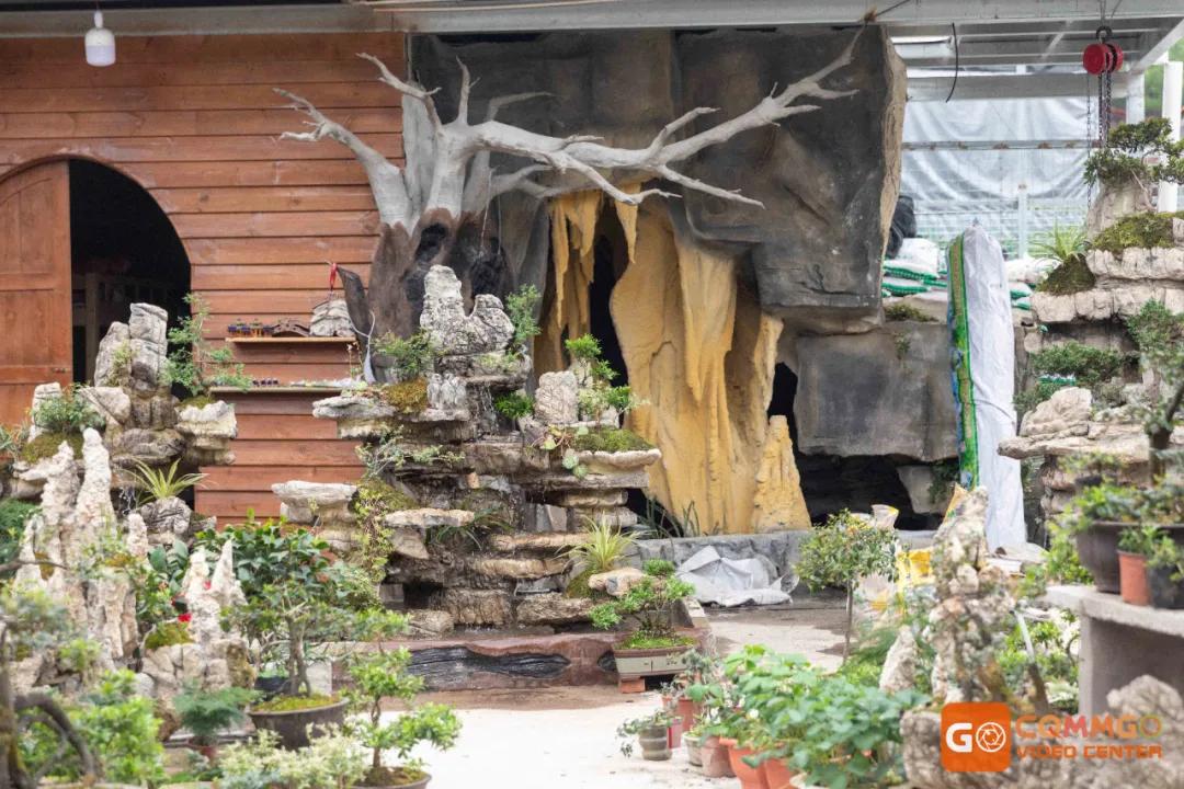 重庆最大的花市在哪里,重庆花市排名前十名