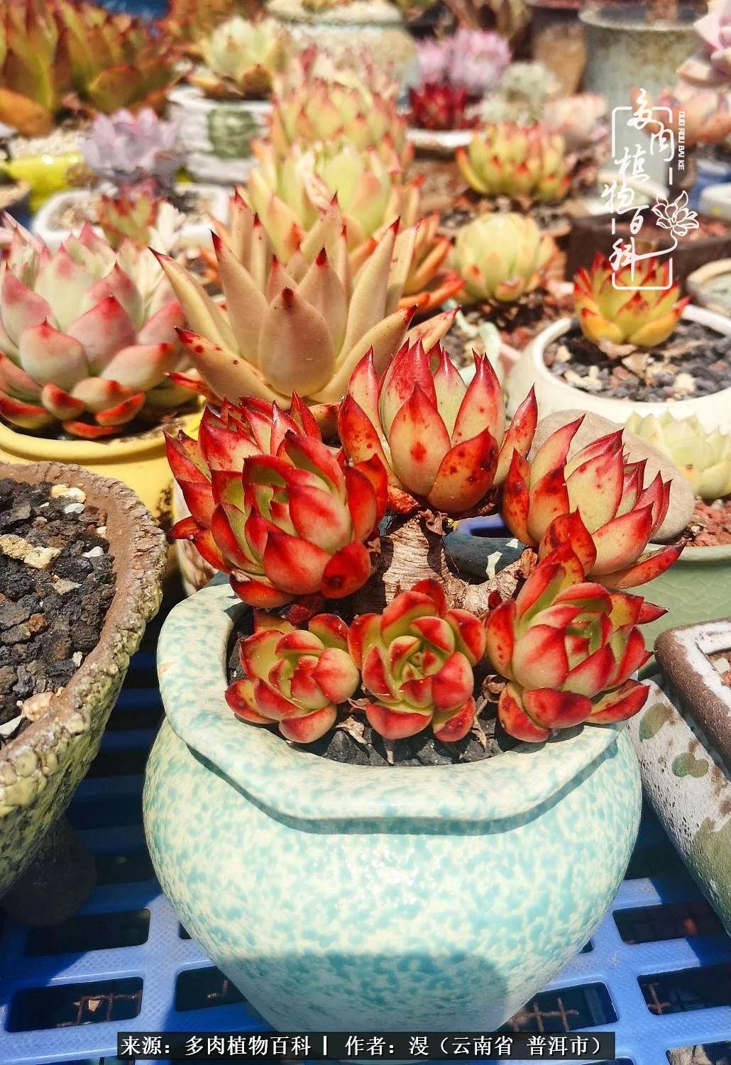 风过留痕讲的啥,风过留痕朗诵