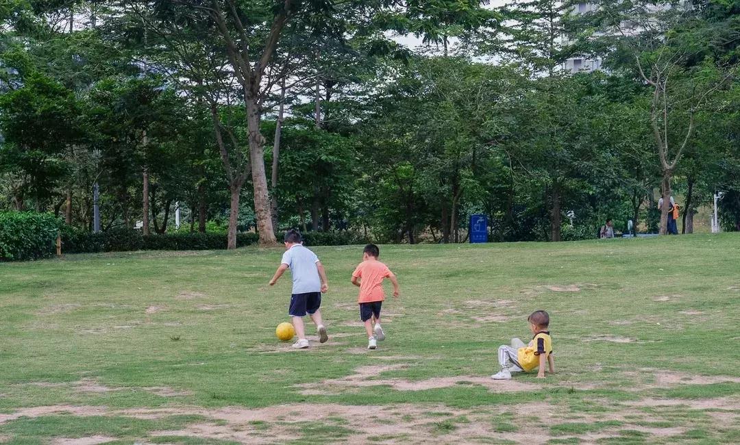 这里是观澜,下一站民治