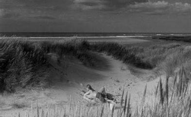 昆汀冷门电影,昆汀评价最高的电影