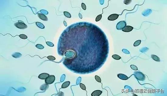 暑假变“人流假”，疯狂的不只成年人，还有12岁女学生