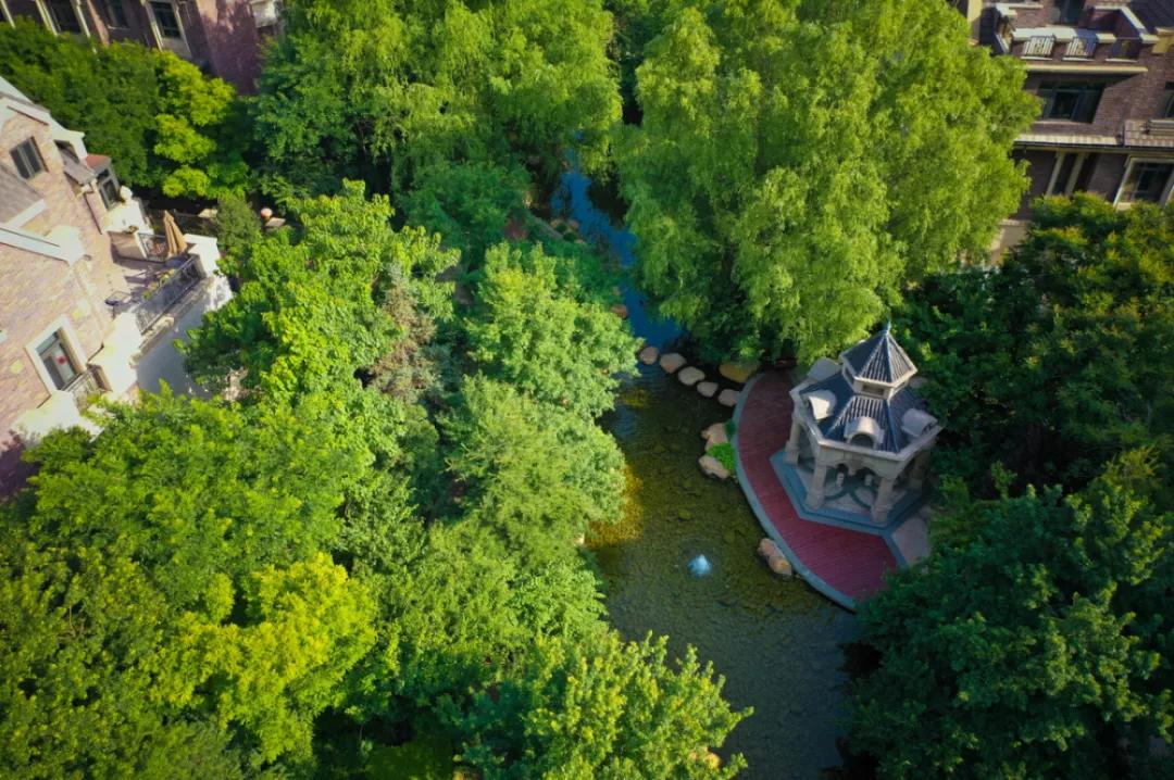 唐城壹零壹,唐城壹零壹精装