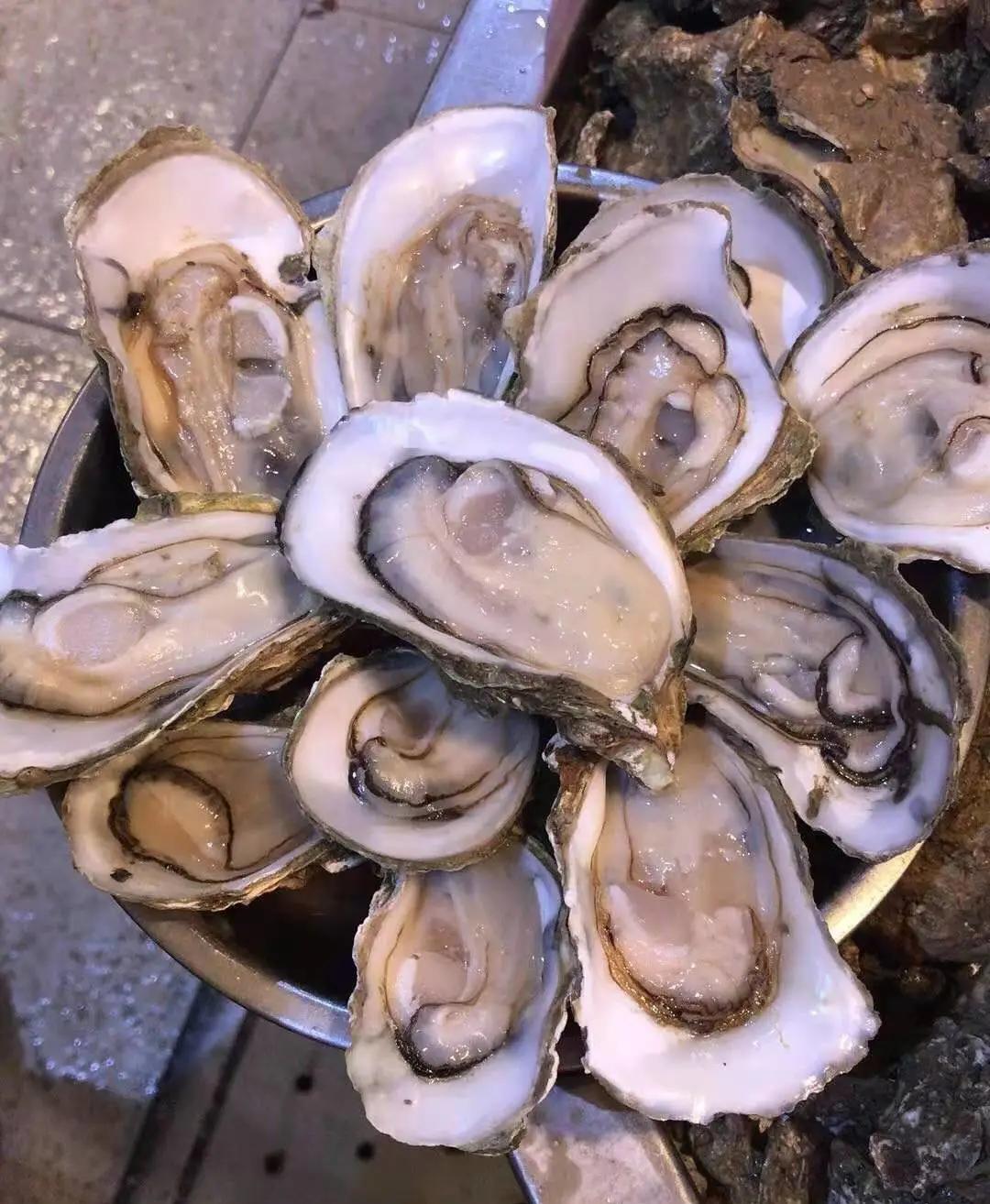 在海南岛最霸气的渔港码头,海南十大渔港码头