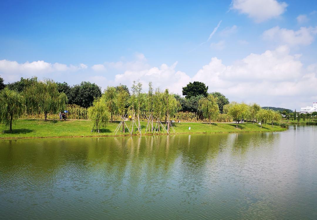 刘柏荣的诗词,刘柏荣诗词点评