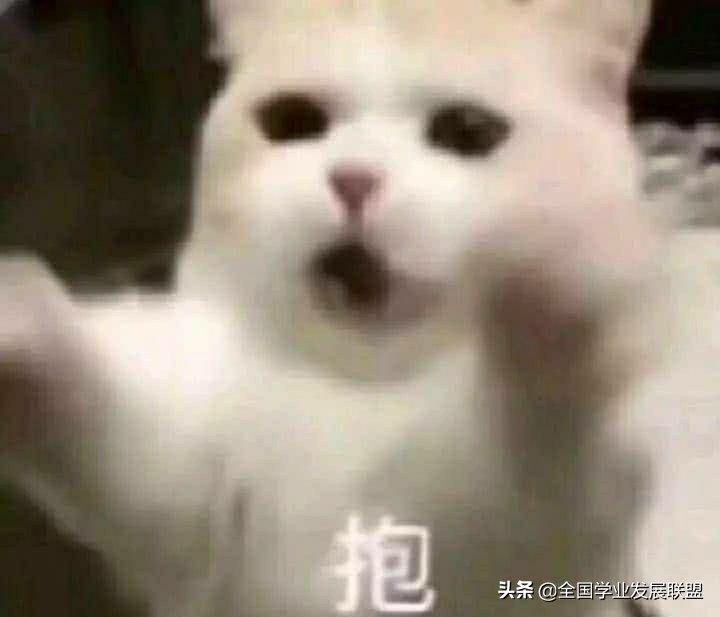 安庆师范大学优秀志愿者评选,阜阳优秀青年志愿者