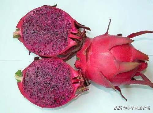 火龙果怎么选才是最好的,火龙果怎么挑选最好的