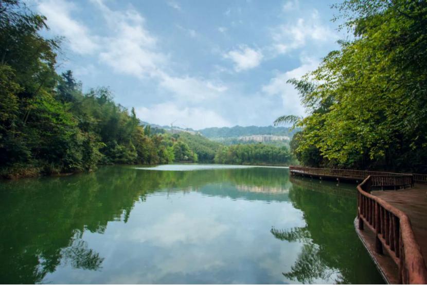 10元钱，住一晚四星级酒店，吃三顿自助餐，它不香吗？