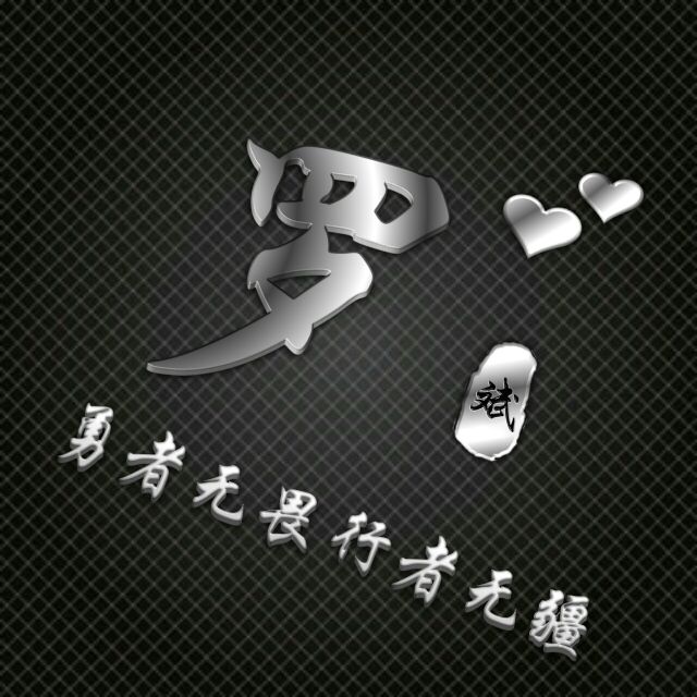 勇者无畏行者无疆姓氏头像,勇者无敌图片头像