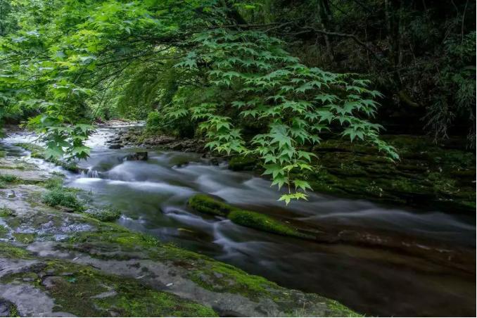 春天的周末最适合踏青,周末去踏青最好的地方