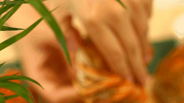 阳澄湖大闸蟹蟹黄蟹膏哪种好吃,去阳澄湖吃大闸蟹蟹黄