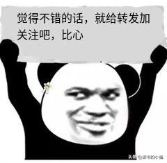 80年代农村淘金热：“跑红两千”病毒式传播，倾家荡产在所不惜