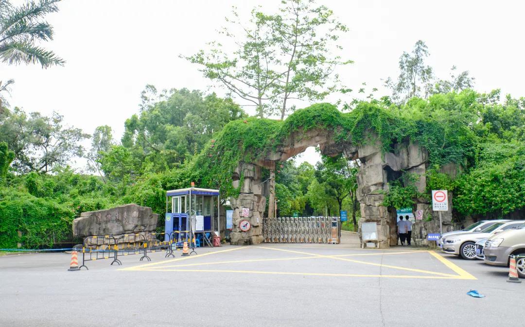 重庆轻轨10号线,10号线有什么玩的