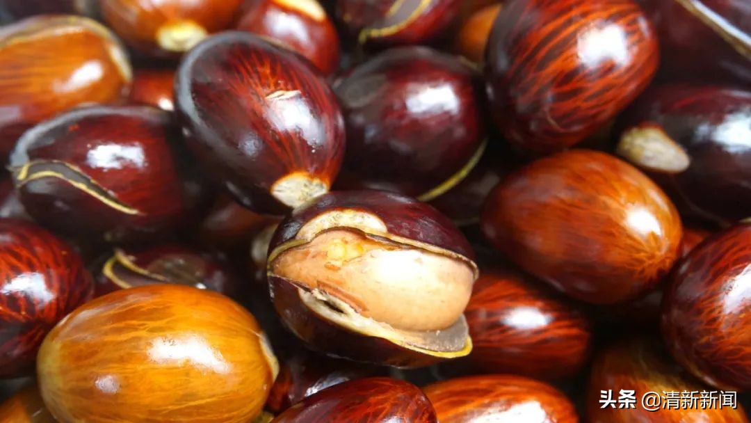 七八月，清西人多了一种“口果”，美味