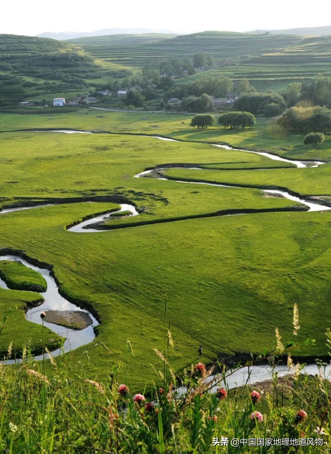 中国薯都地址在哪里,中国薯都为什么是定西